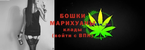 МДПВ Богородск