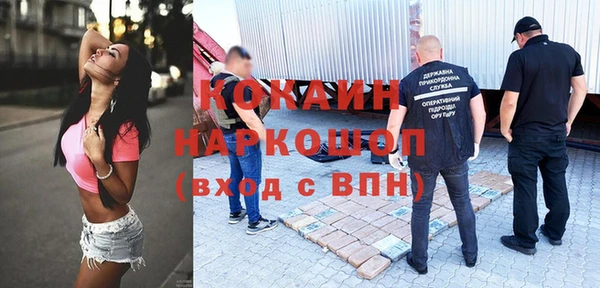 МДПВ Богородск