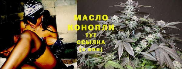 МДПВ Богородск