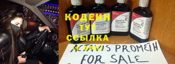 МДПВ Богородск